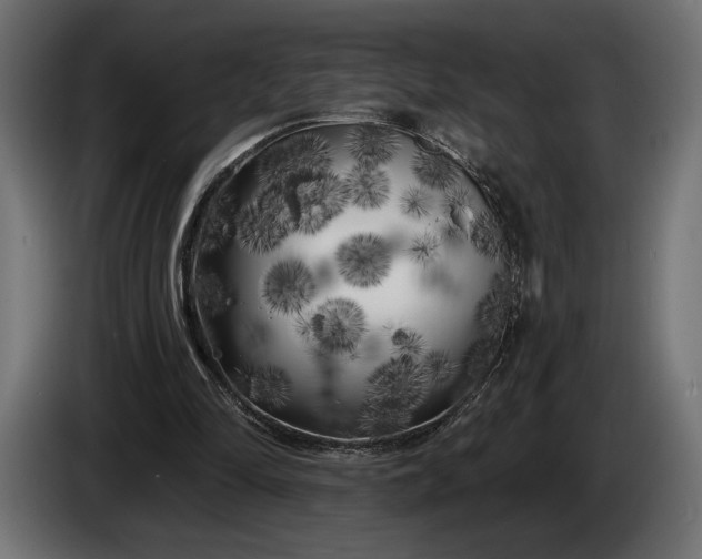 X0000086300294200704131615