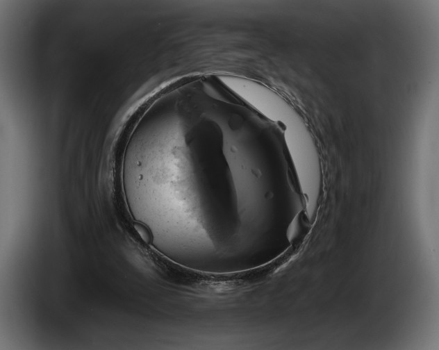 X0000086300295200704131615