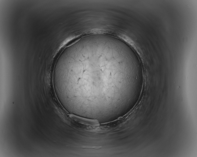 X0000086300297200704131615