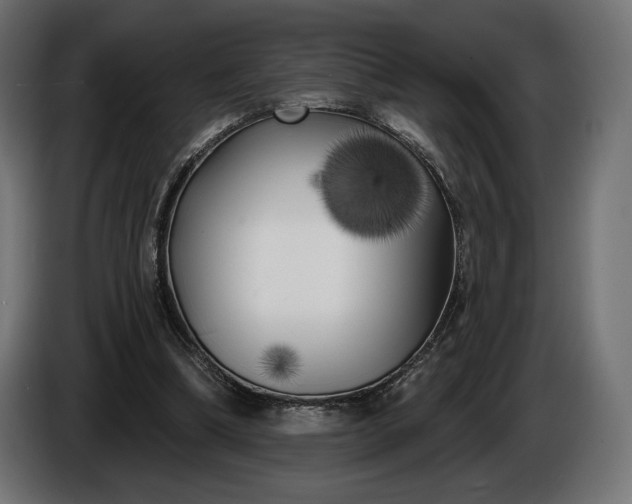 X0000086300298200704131615