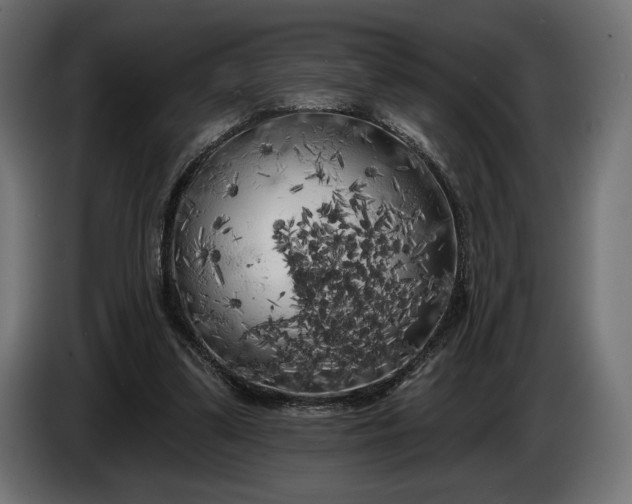 X0000086300299200704131615