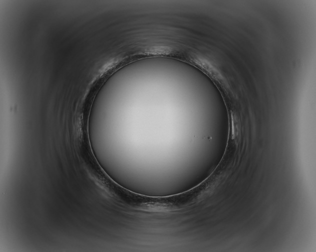 X0000086300300200704131615