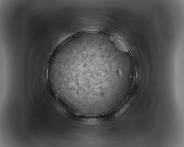 X0000086300301200704131615