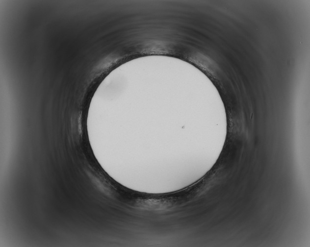 X0000086300302200704131615