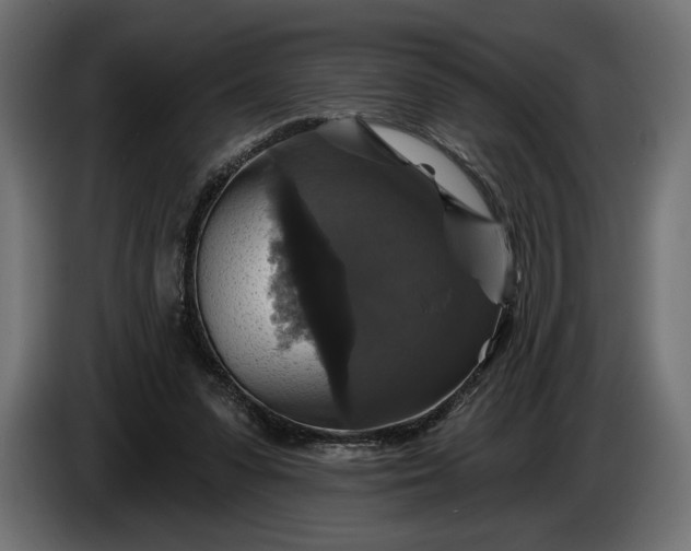 X0000086300303200704131615