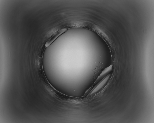 X0000086300305200704131615