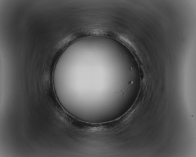 X0000086300306200704131615