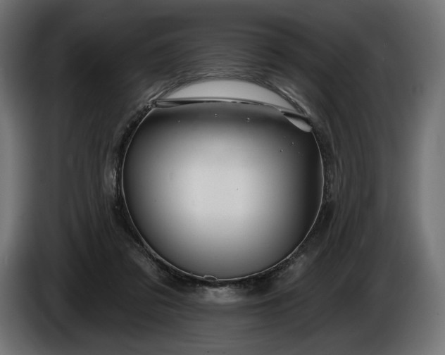 X0000086300309200704131615