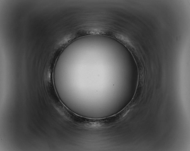 X0000086300310200704131615