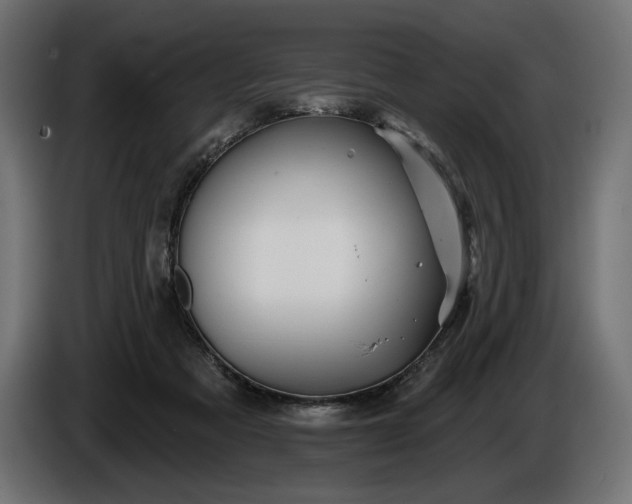 X0000086300313200704131615