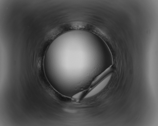 X0000086300315200704131615