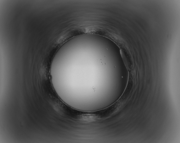 X0000086300316200704131615