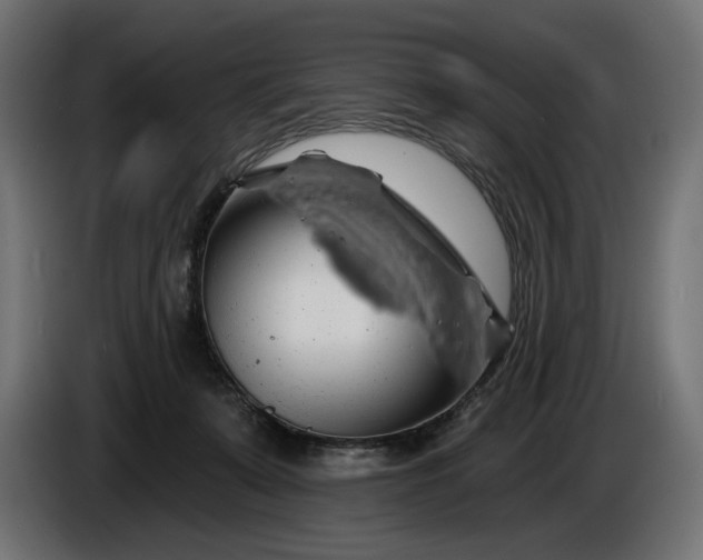 X0000086300319200704131615