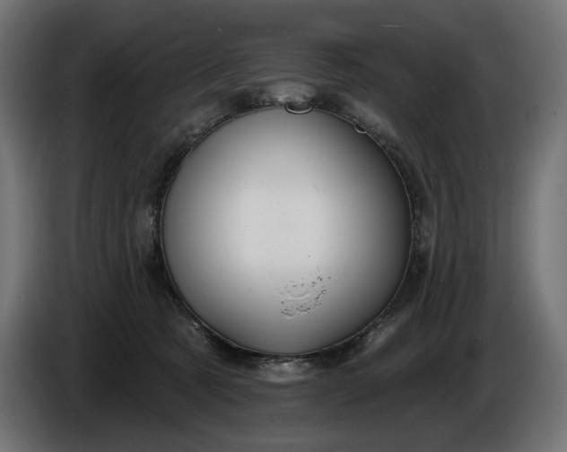 X0000086300321200704131615