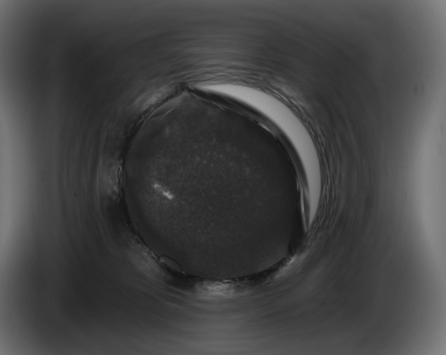 X0000086300325200704131615