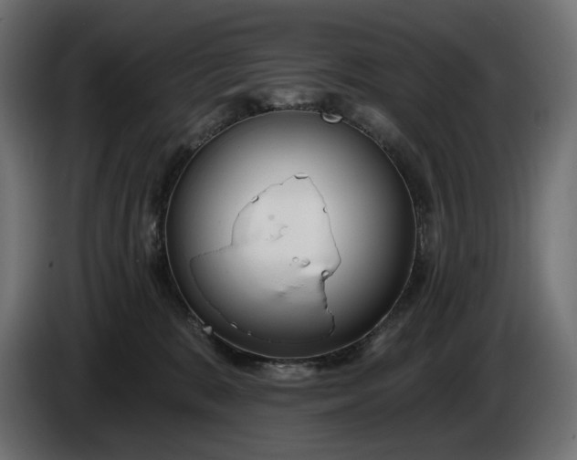 X0000086300327200704131615