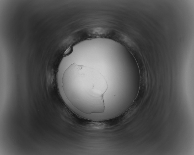 X0000086300328200704131615