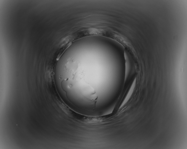 X0000086300329200704131615