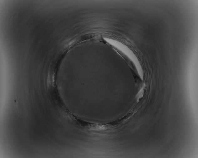 X0000086300330200704131615