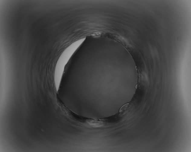 X0000086300331200704131615