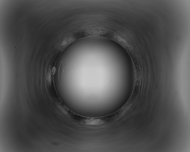 X0000086300334200704131615