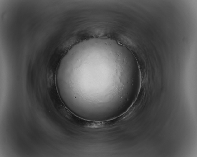 X0000086300335200704131615