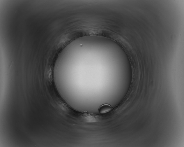 X0000086300336200704131615