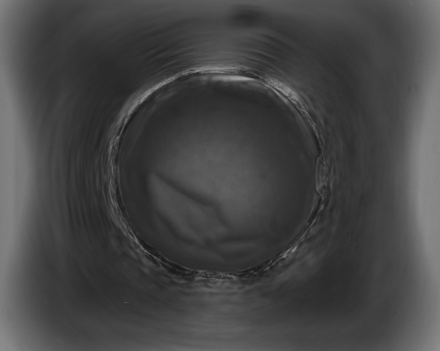 X0000086300337200704131614