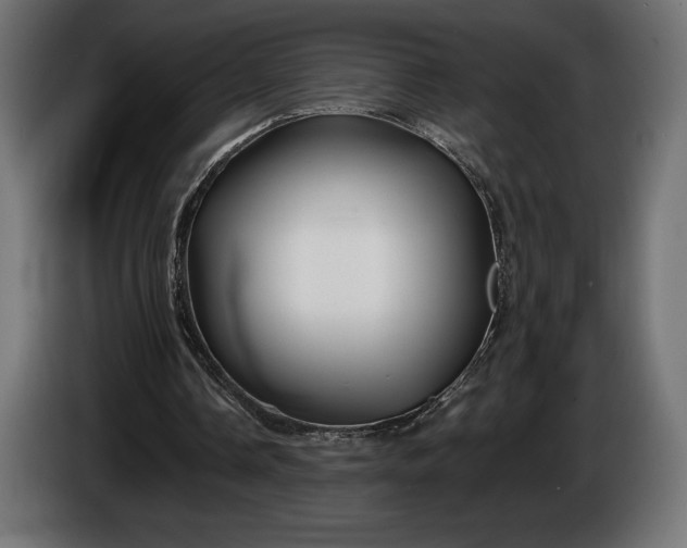 X0000086300338200704131614