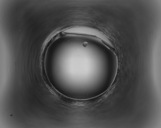 X0000086300341200704131614