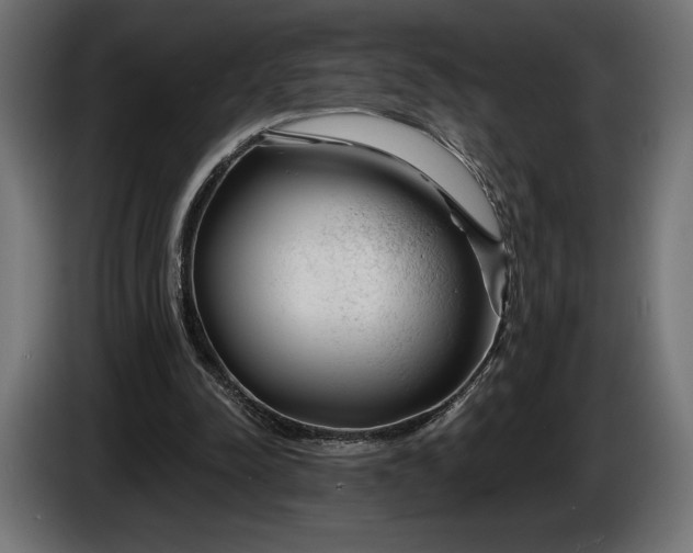 X0000086300342200704131614