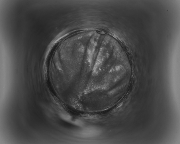 X0000086300343200704131614