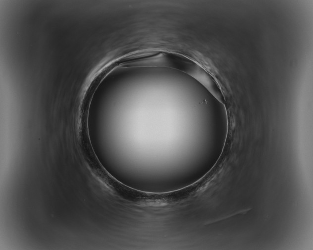 X0000086300344200704131614