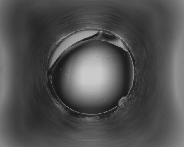 X0000086300345200704131614