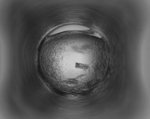 X0000086300346200704131614