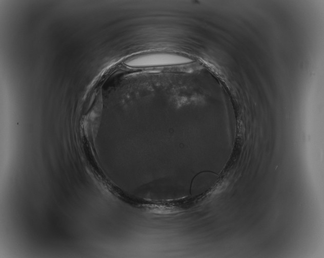 X0000086300347200704131614