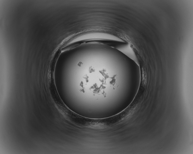 X0000086300348200704131614