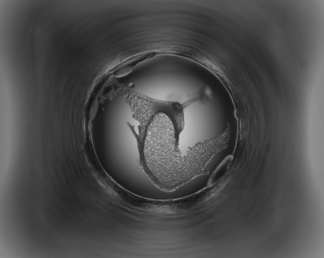 X0000086300349200704131614