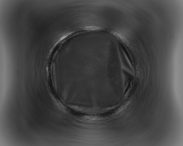 X0000086300351200704131614