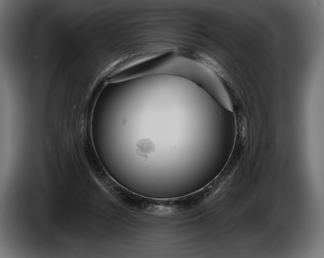 X0000086300352200704131614