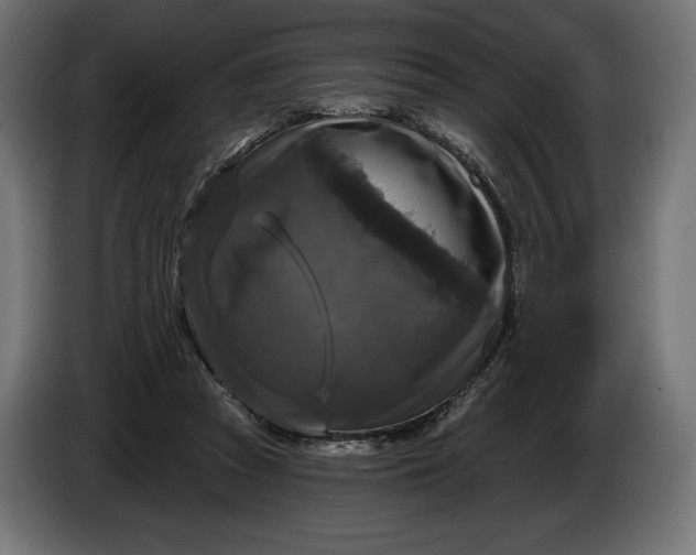 X0000086300353200704131614