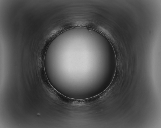 X0000086300354200704131614