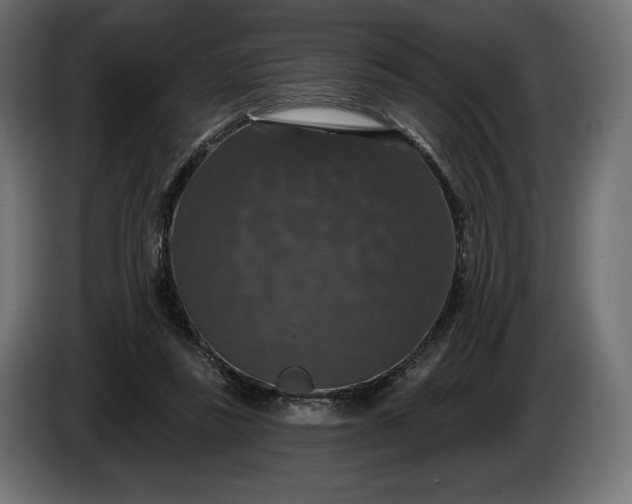 X0000086300355200704131614