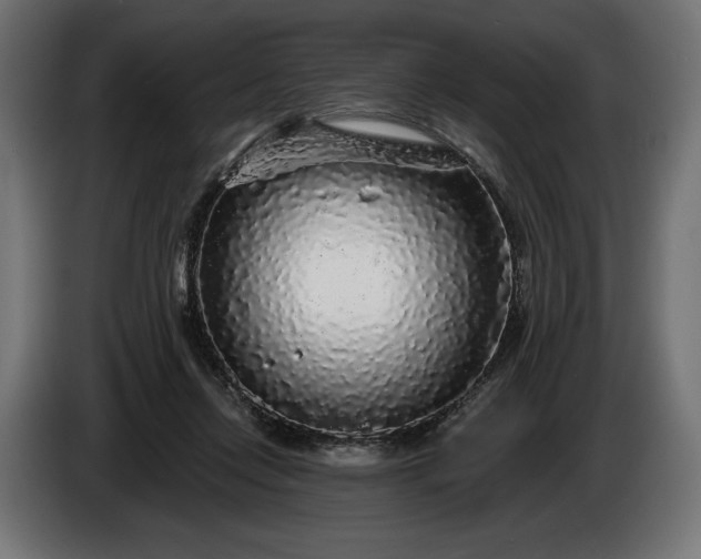 X0000086300358200704131614