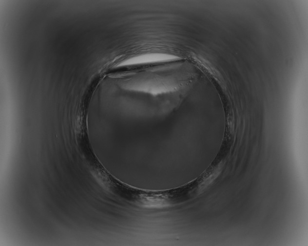 X0000086300359200704131614