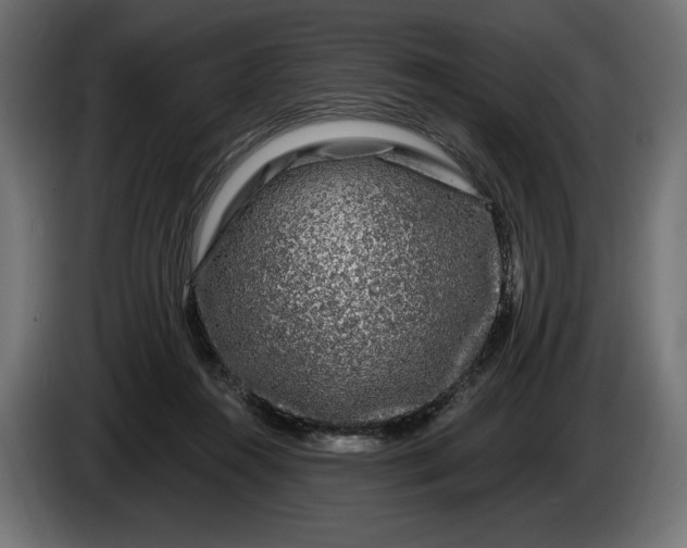 X0000086300360200704131614