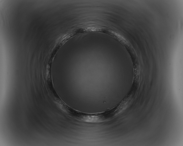 X0000086300361200704131614