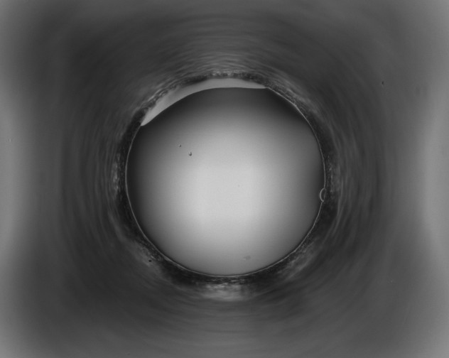 X0000086300362200704131614