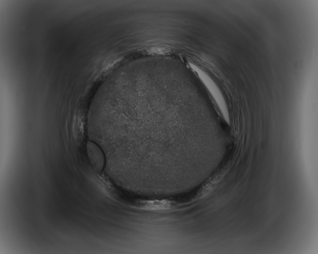 X0000086300363200704131614