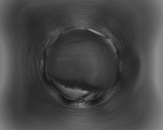 X0000086300365200704131614